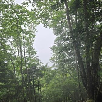 富士山展望ポイントらしい