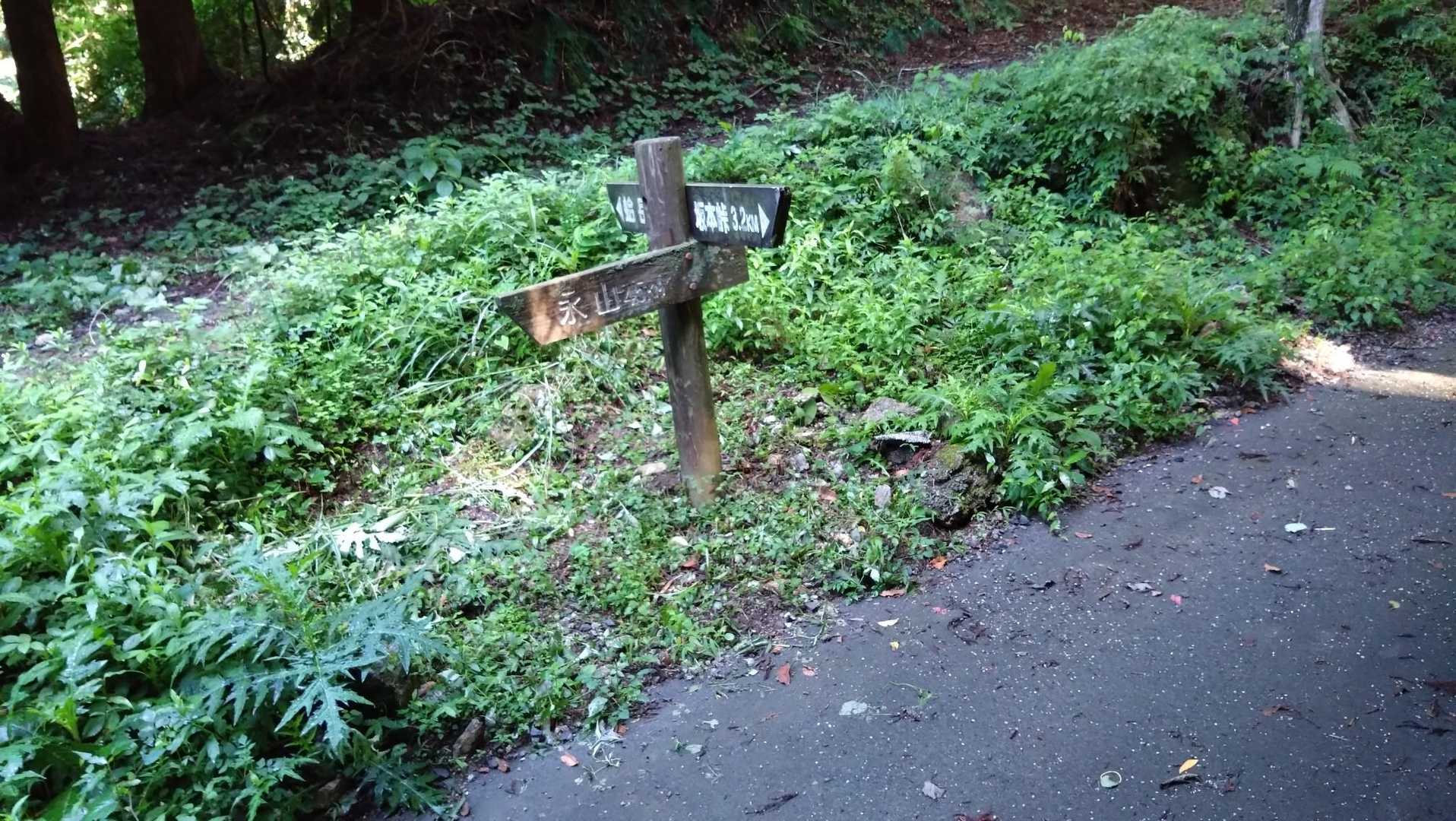 舗装路に出た