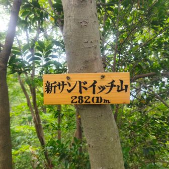 なかっぷサン興味なさそうでしたが無理やりしれっと新サンドイッチ山行きました。