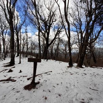 眺望イマイチかな