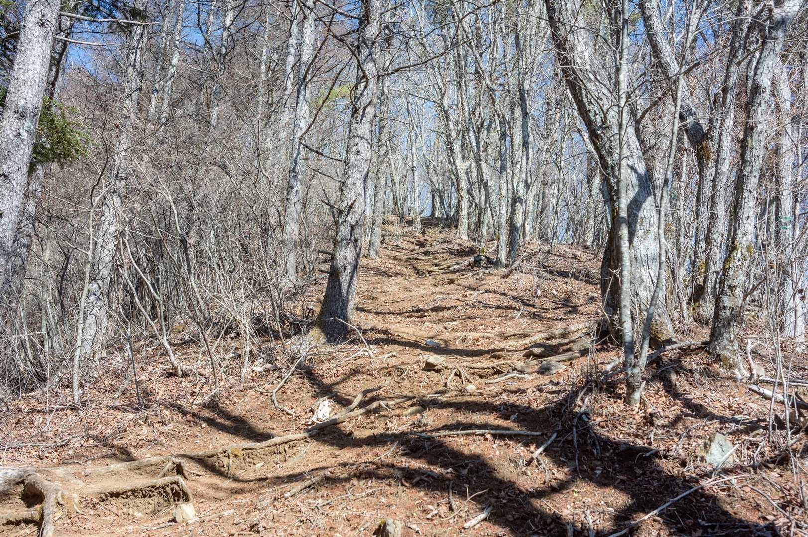 写真より実際は1.5倍くらい急に感じるの、山やってる人なら分かりますよね。