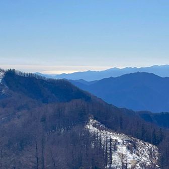 海が見えています。
空気が澄んでいます、スカイツリーも見えましたよ