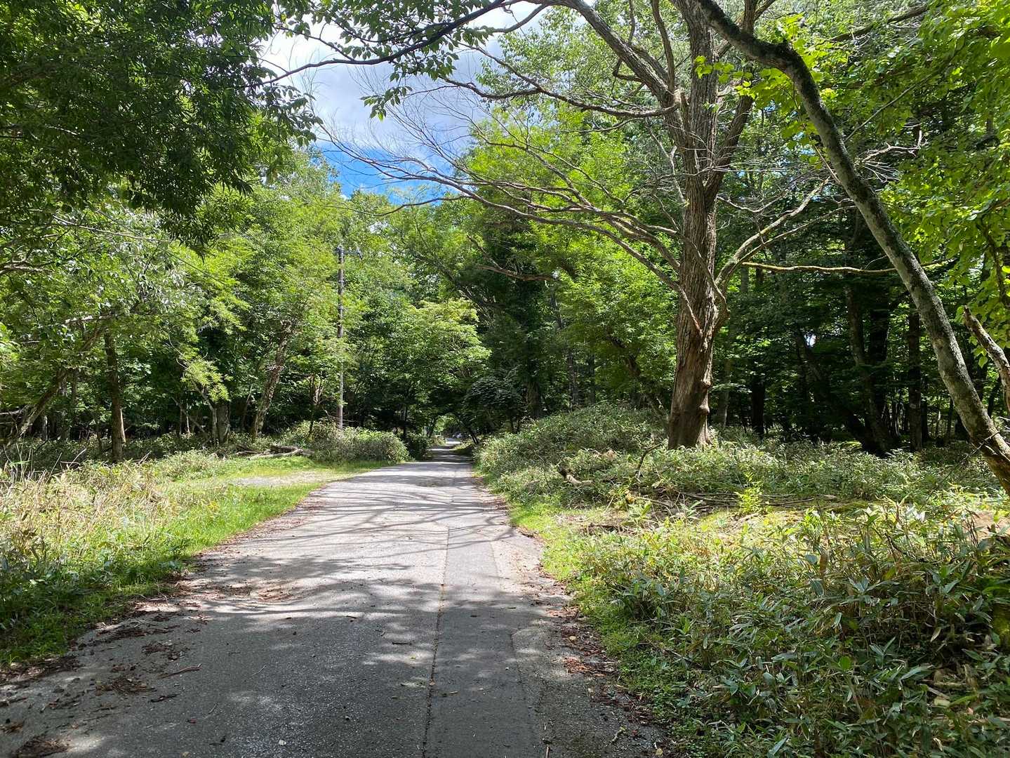 前白根山-五色山-白根山登山口-湯元温泉バス停 周回コースの写真