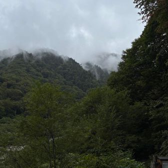 柏原新道登山口に下山。