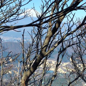 富士山はこんな感じであまり眺望はよくないです。