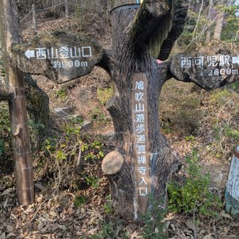 下山してとりあえずトイレ行って、標識撮影です🤳