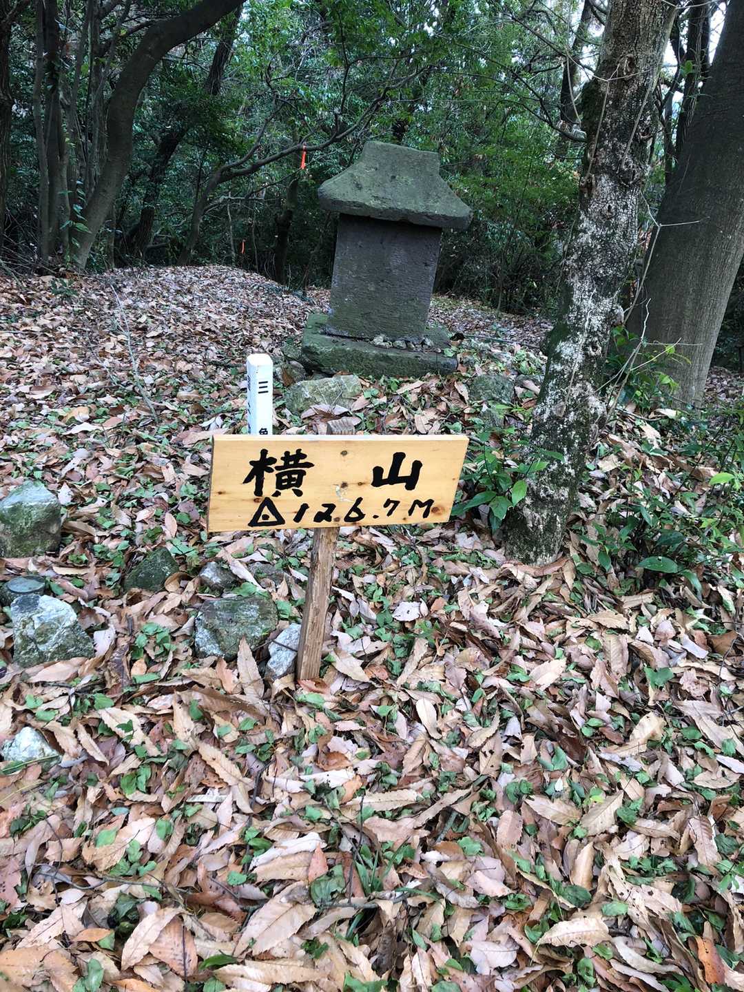 落ち葉🍂すごい、栗🌰もイガごと道にありました。気を付けてください。