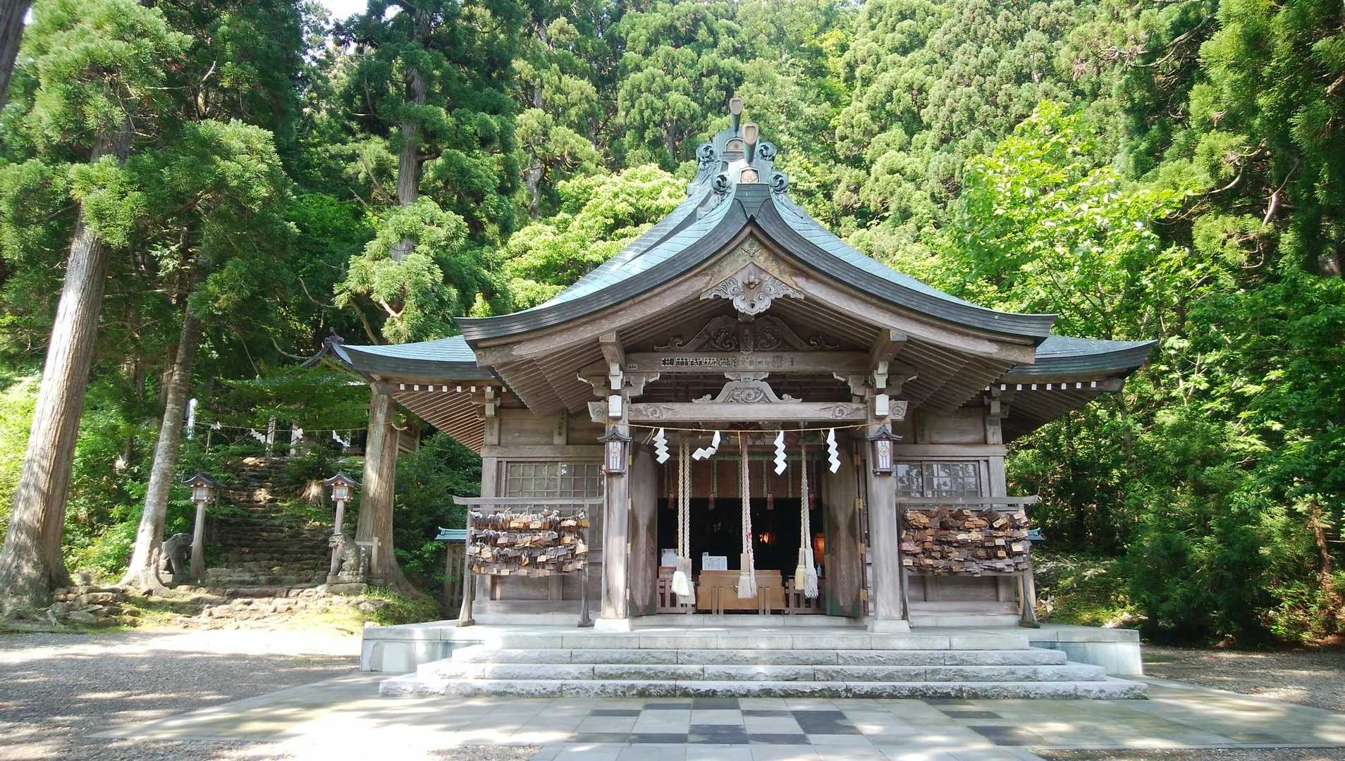 真山神社拝殿⛩の左側にある石段を上がります👣