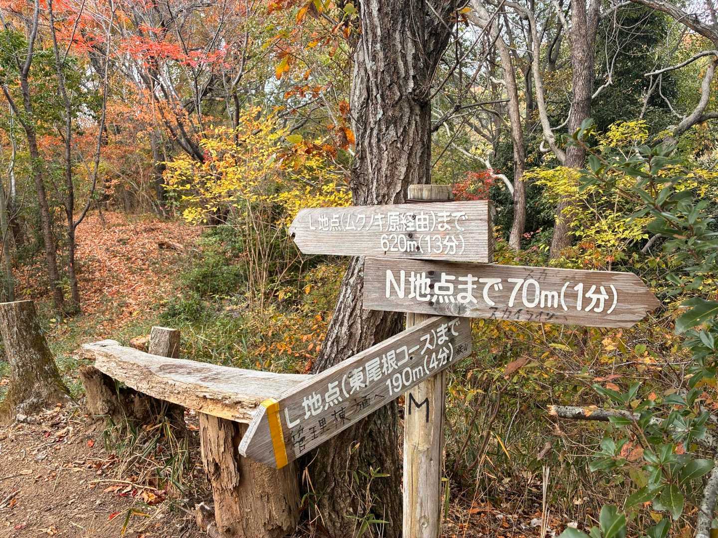 ロード歩きに飽きて
途中から山道に入り込みました