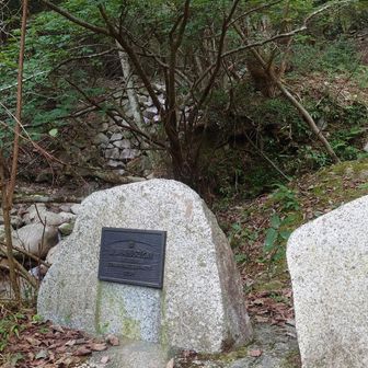 登録された記念の石碑の向こうには石積堰堤。