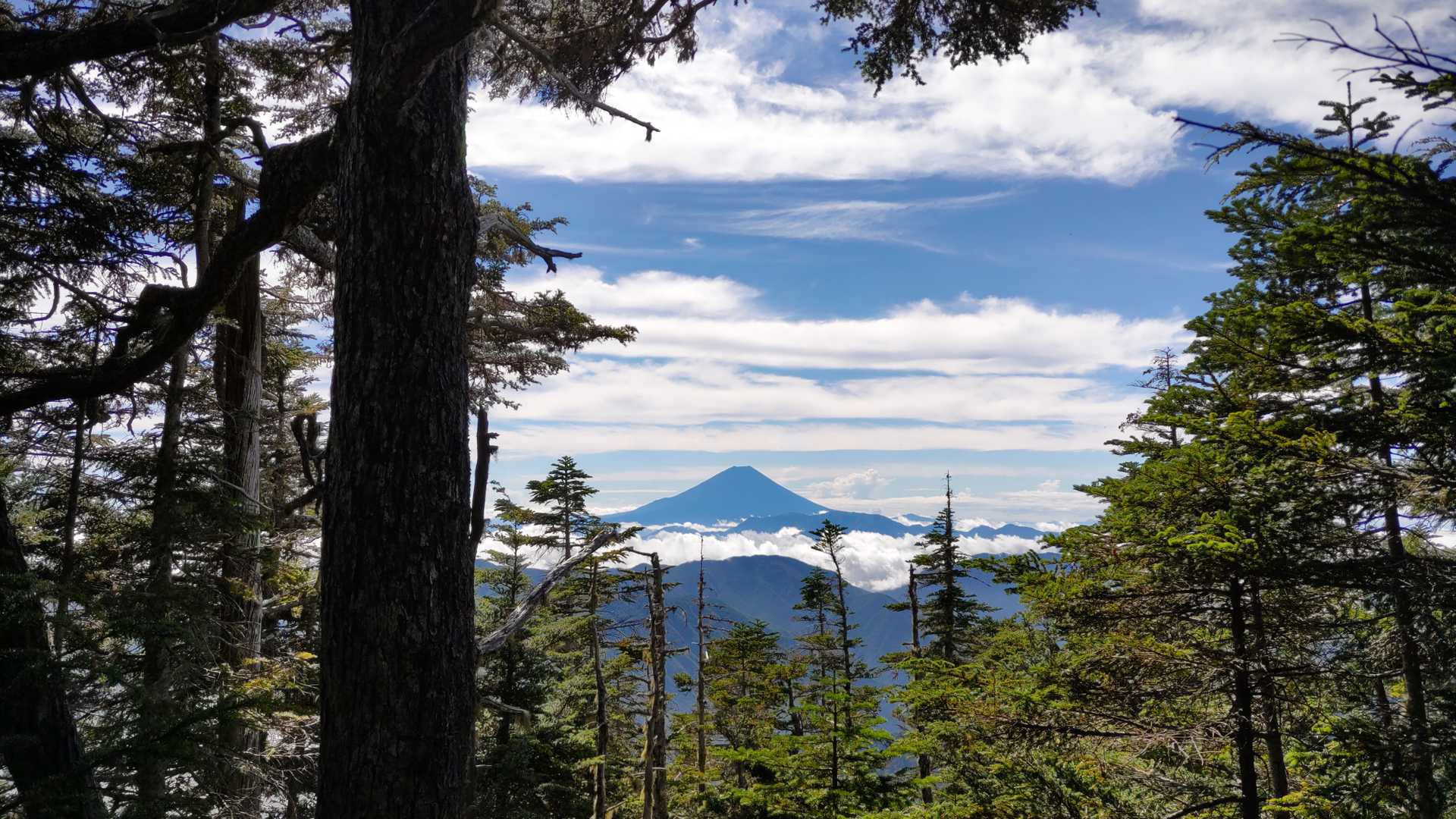 笹山（奈良田湖）の写真