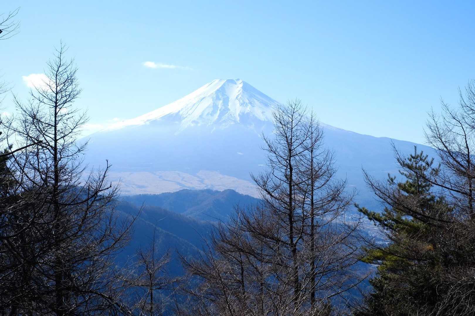 東桂駅-倉見山-寿駅 縦走コースの写真