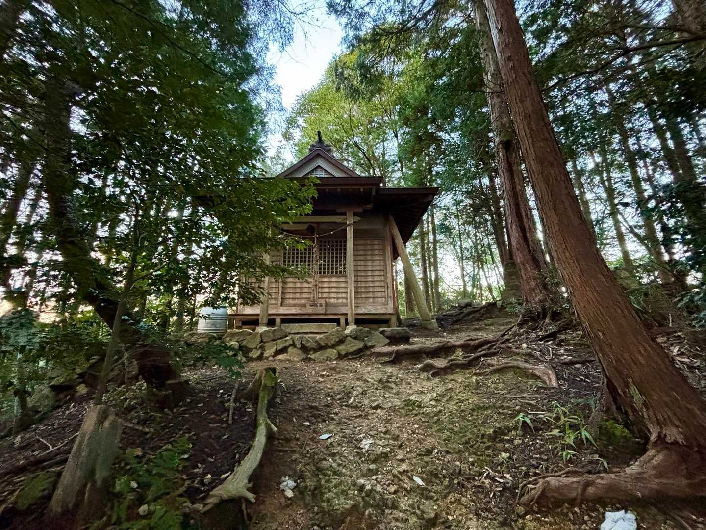 道樹山