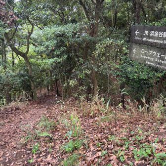 山頂で少し休憩。
ここからは「車力道」のルートを使って下山します💪