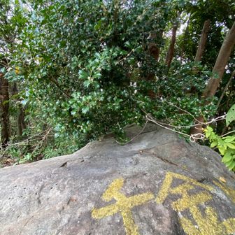 柊がまもっているのかな？