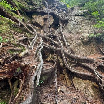 ここでも鎖、岩と木の根で滑らないように注意