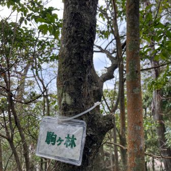気づけば駒ヶ林🚩