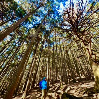 マチャプチュレ宮田