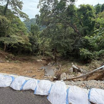これ以上の大雨が来ないといいのですが、、
