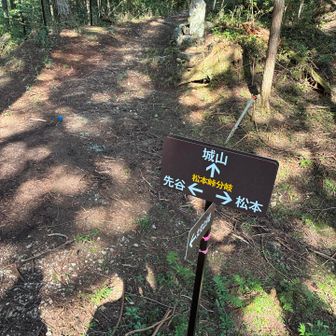 城山(じょうやま)へ