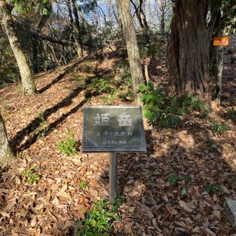 姫岳山頂にとーちゃく　真名野長者の般若姫ゆかりのお山　色んな歴史を見てきたんでしょうね