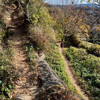下を歩けば切岸が見られる遊歩道
上を歩けば見晴らしのある尾根道