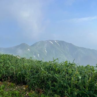 朳差岳⛰️
帰りの体力が不安なのと最近熊が出たようなので見るだけです