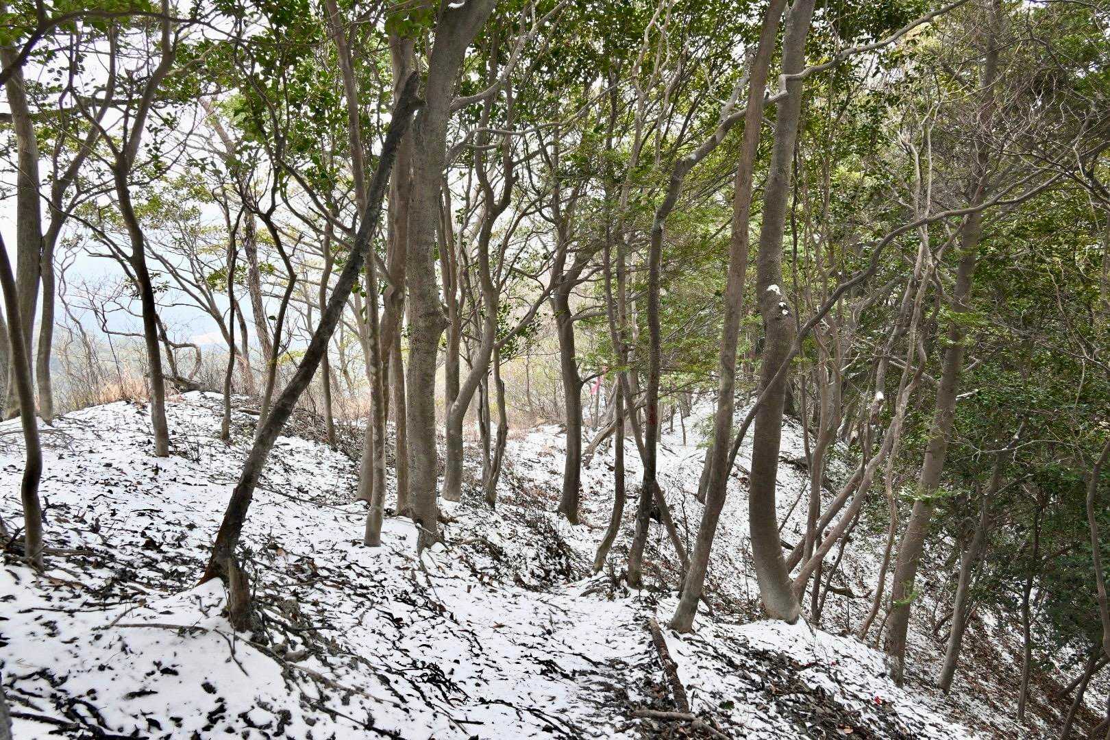 膳棚を見れて大満足でした〜
下山します🥾