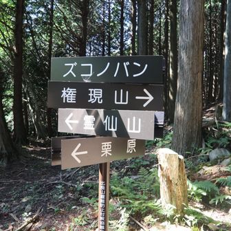 栗原へ向かわず、霊仙山に。