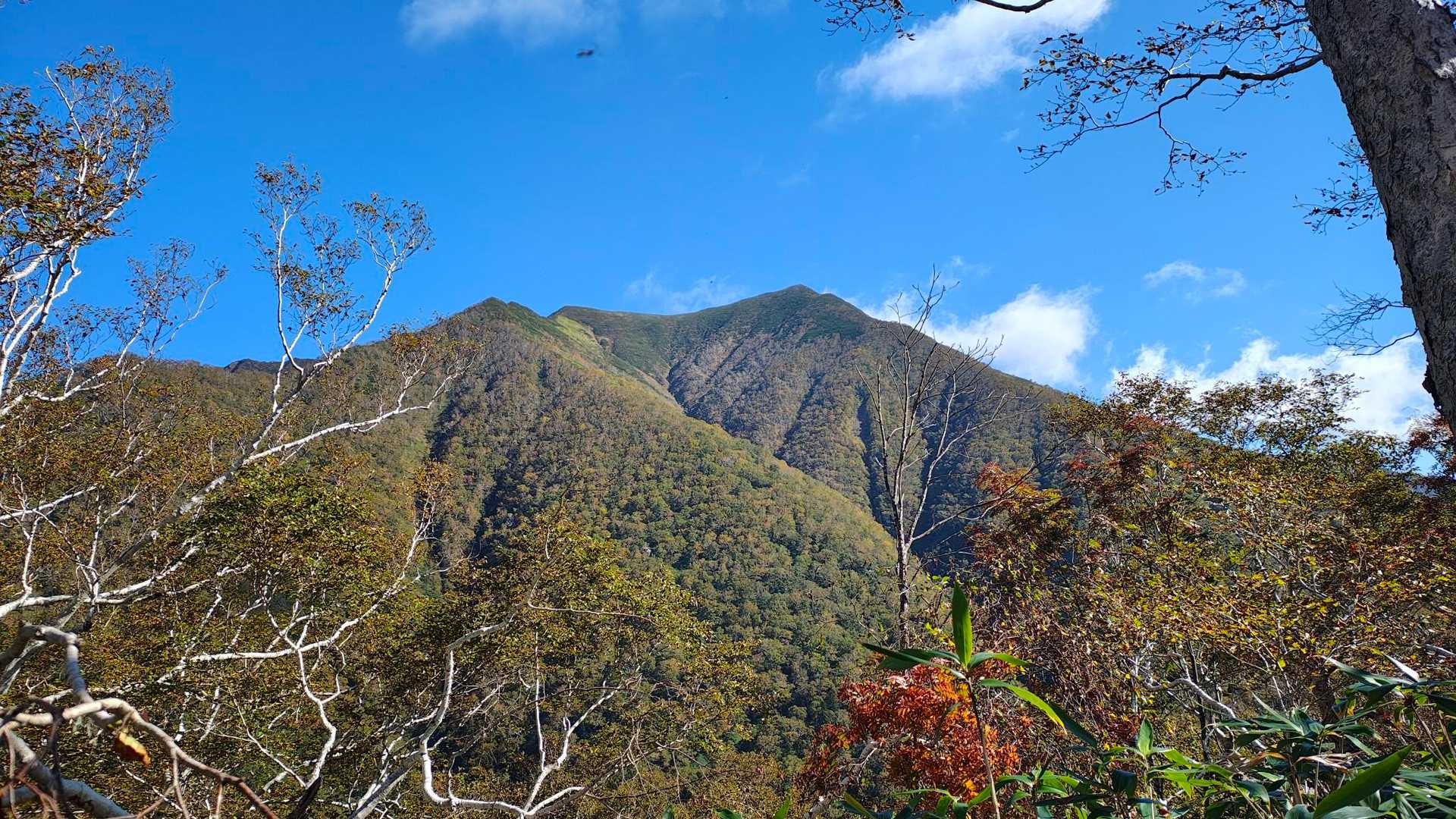 神威岳登山口-ベッピリガイ乗越-ペテガリ岳登山道入口-ペテ 往復コースの写真