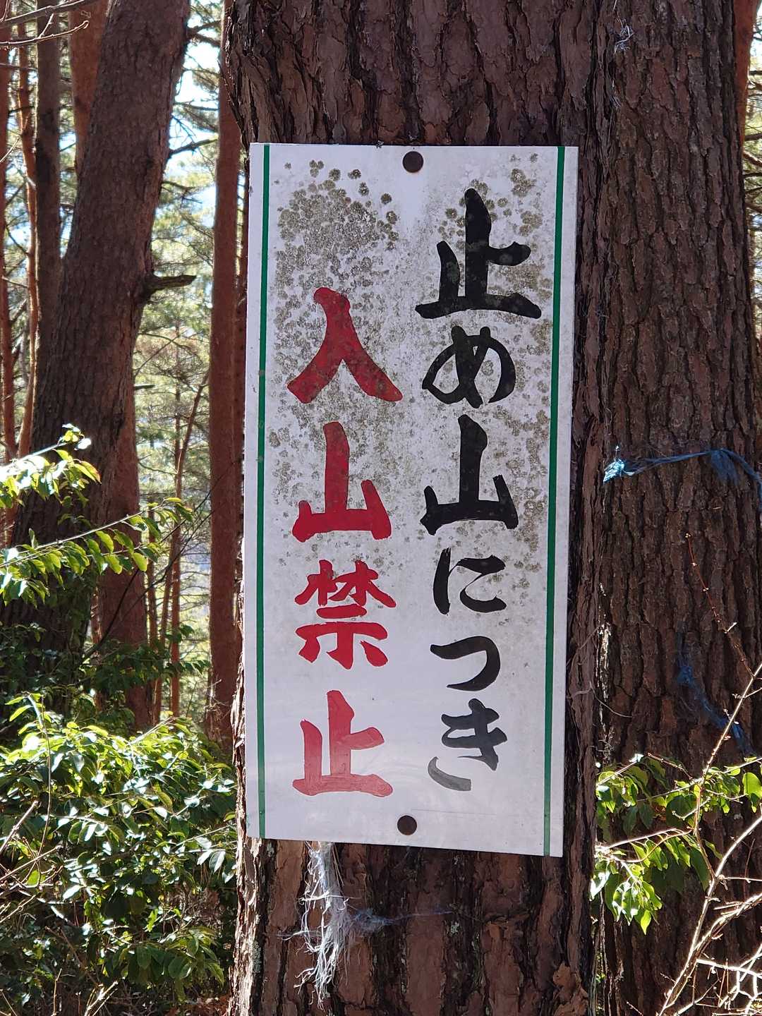 止め山だって😵