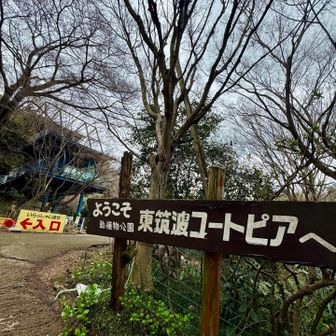 東筑波ユートピア

次の「峰寺山」へは

こちらの敷地を登っていきます 

（大人1,200円）