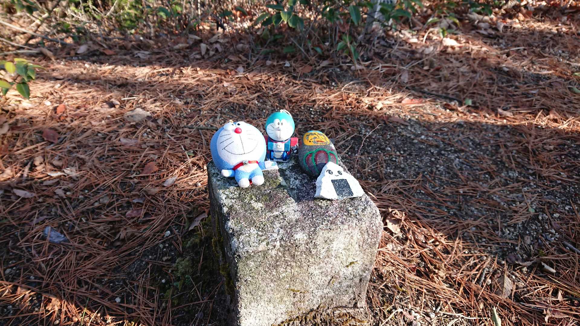 中津岡山三等三角点▲530m