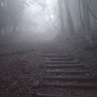 見晴茶屋の先の急登🧗
お久しぶりです！