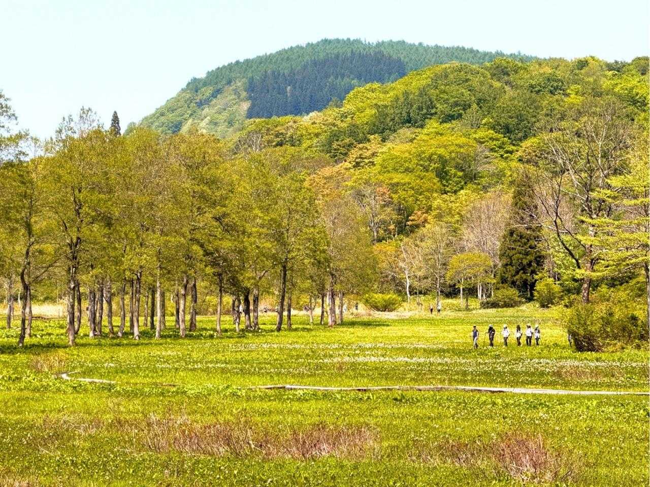 【JAPAN TRAIL】信越トレイル②（赤池 - 涌井）の写真