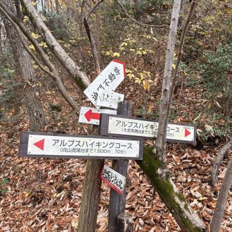 情報量が多いね😅