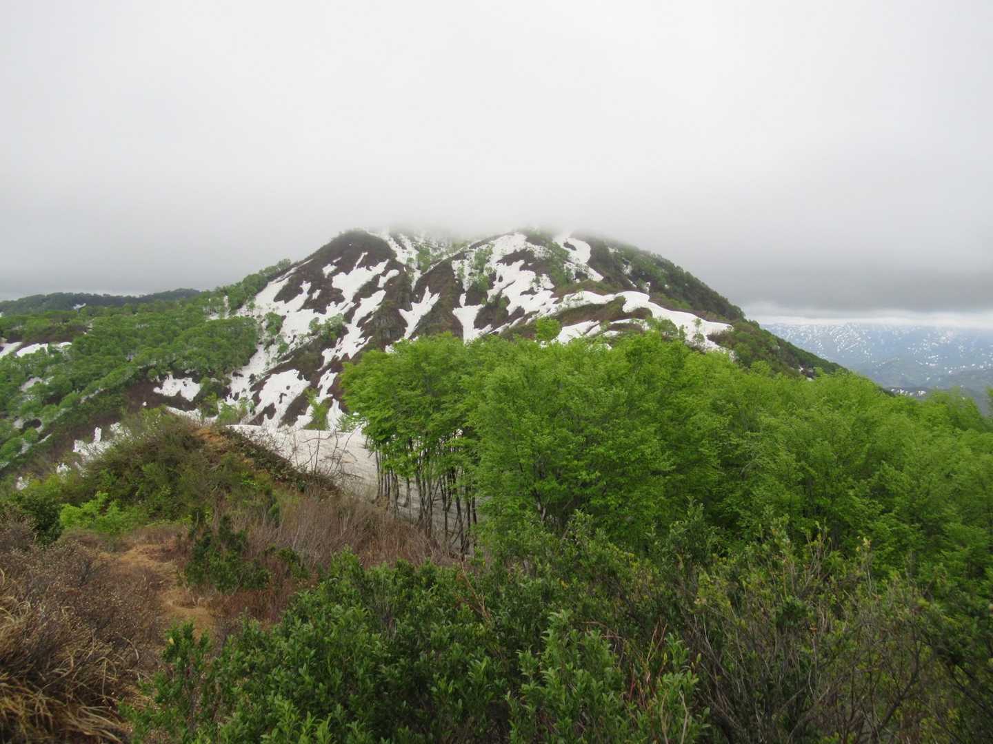 上権現堂山は・・行きません