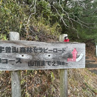 降り着いた場所
このセラピーロードも
ぜひ賑わって欲しい(｡･ω･｡)