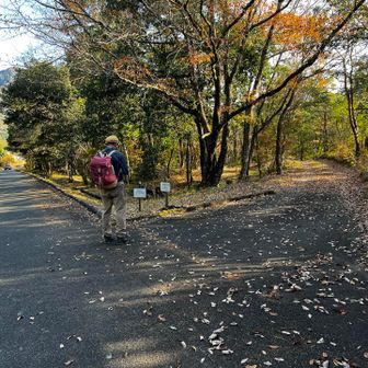 途中から、佐波の里山「きずなの森」の道を通って帰りました
