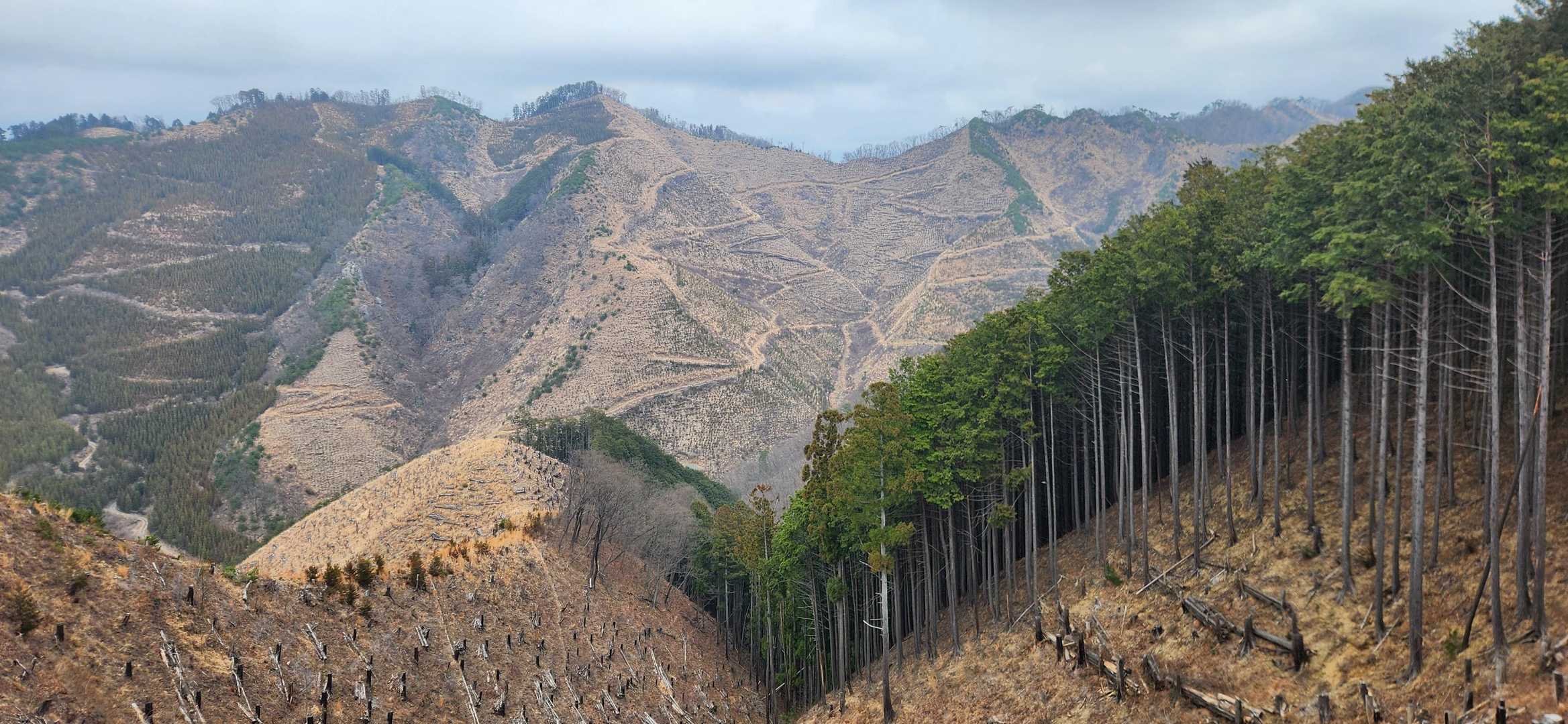 雨降山-前仙人ヶ岳-荒倉山-小友沢の頭 周回コースの写真