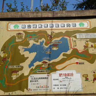 ハイキングには最高のルートだった。