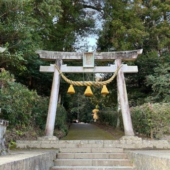 熊野神社から登山を開始。