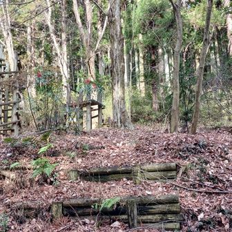 この辺から登るようです。