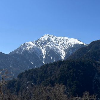 ビーチの向こうに大迫力の貴公子！