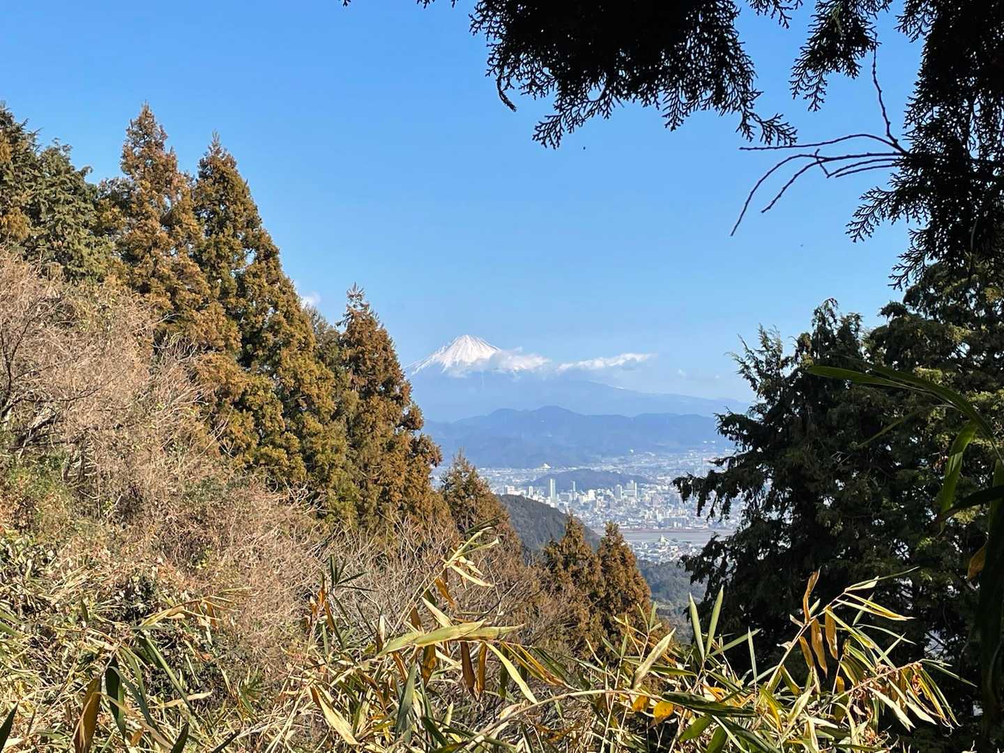 また、ひょっこり！