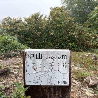 山頂
見晴らし無し
また来る理由が出来ました😁