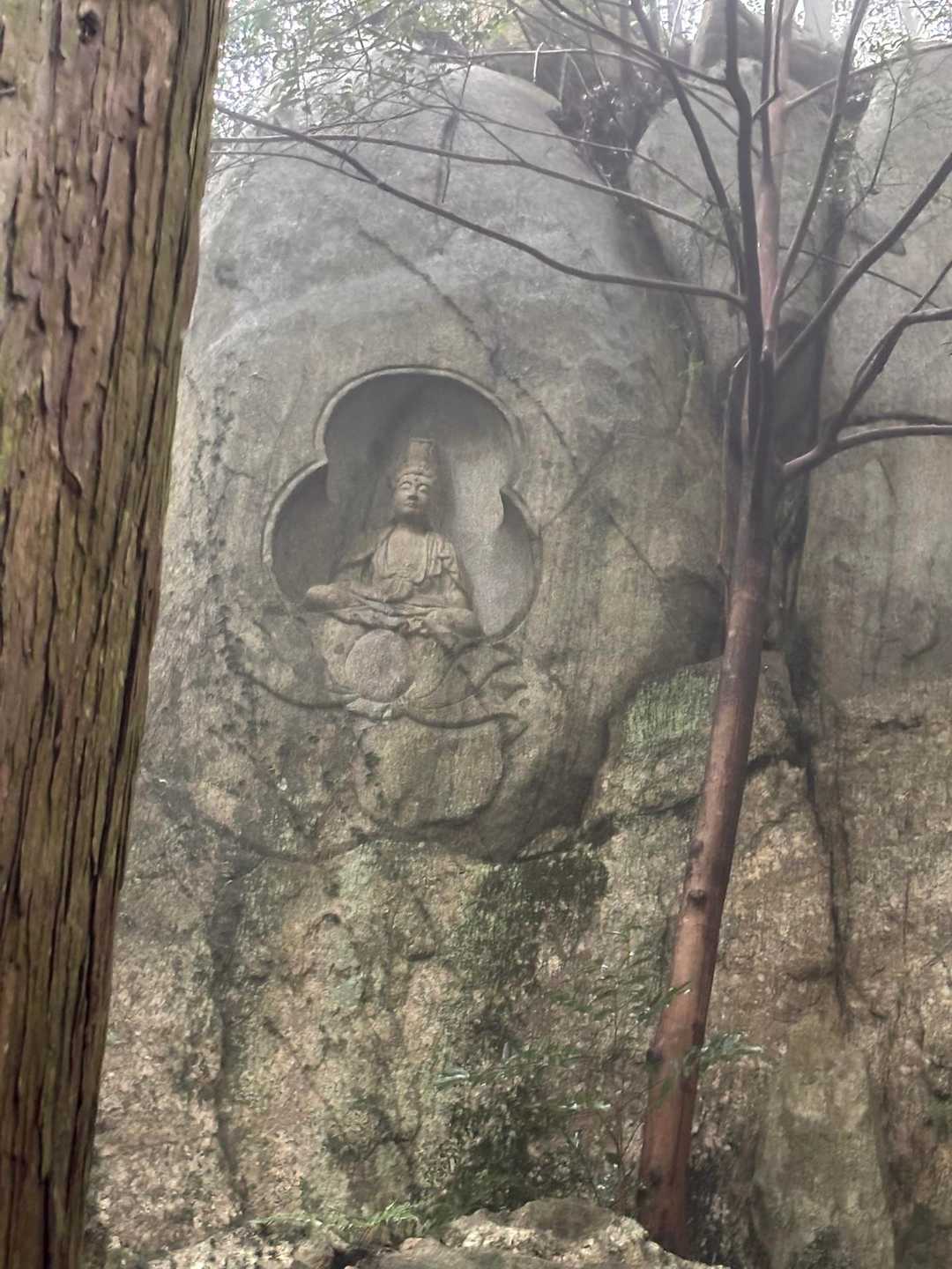 金立山 往復コースの写真