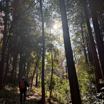 平日だけど登山者がいっぱいいるよ〜