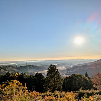 遠くに霞ヶ浦が見えます