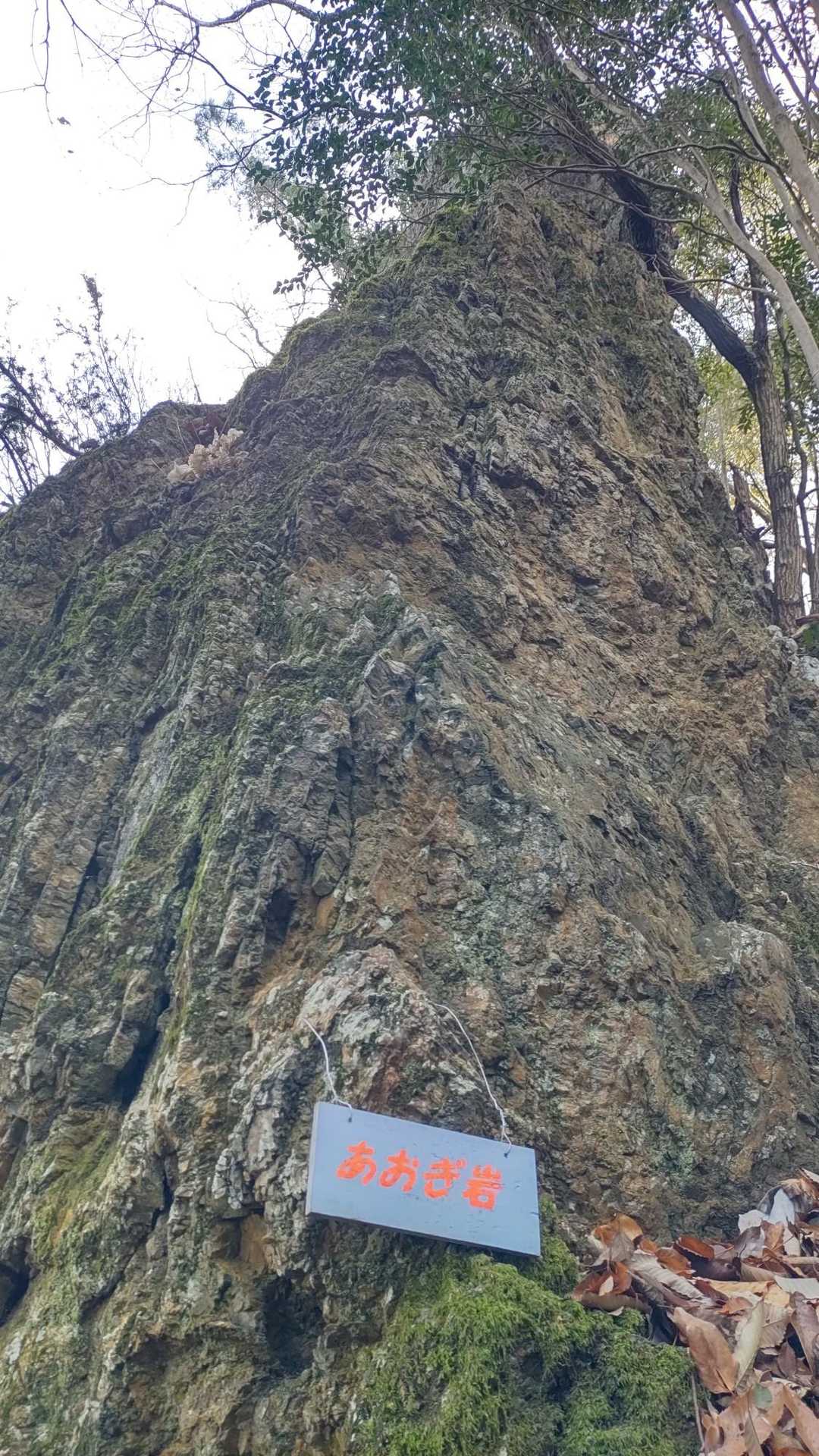あおぎ岩。